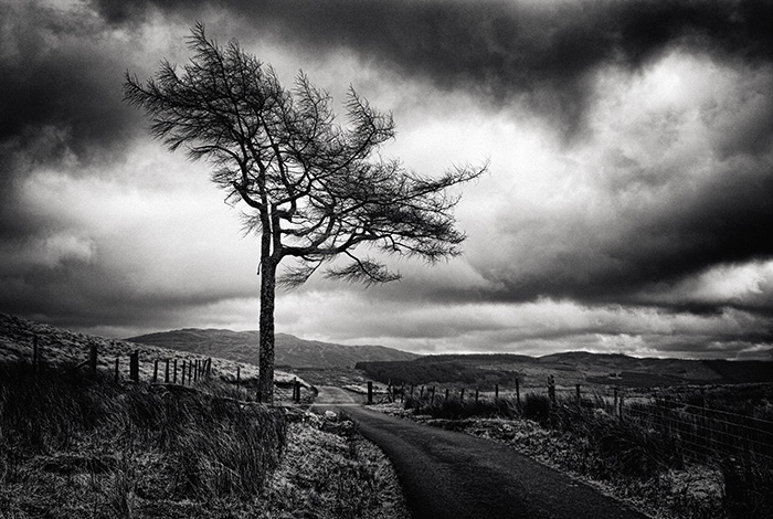 Bleak Welsh moorland landscape with menacing sky and lone tree