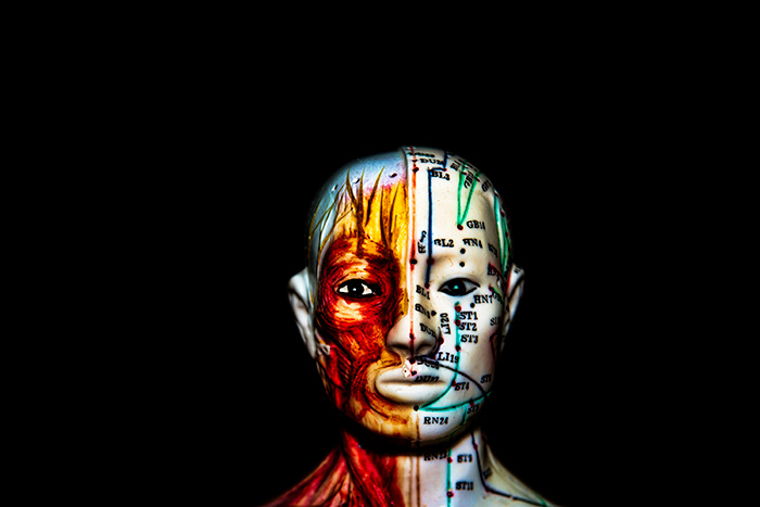 Ceramic head with muscles and acupuncture points painted on looking straight ahead against a black background
