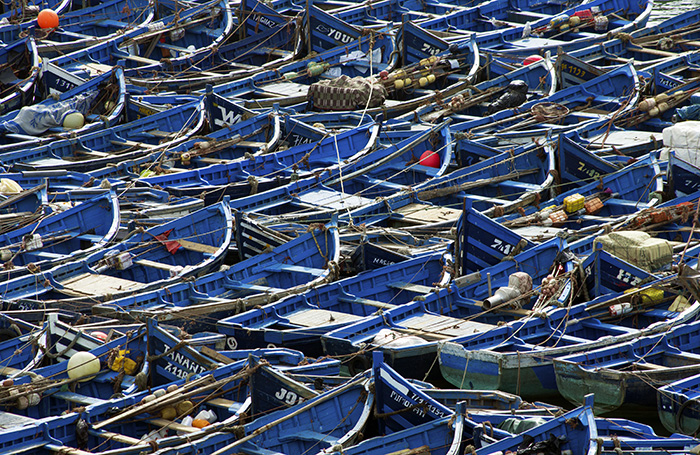 Identical blue fishing dinghies packed tightly together sit in the harbour at Eassouira, Morocco
