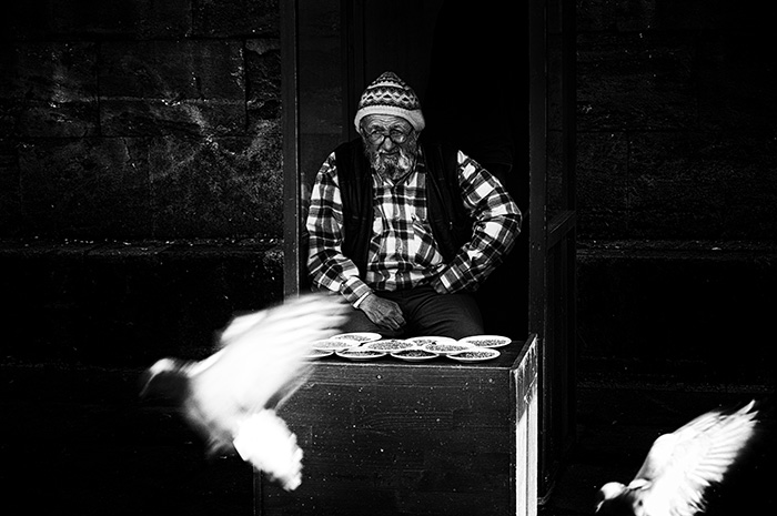 An elderly man with plates of bird food sitting in a tiny wooden hut watching motion blurred pigeons flying by