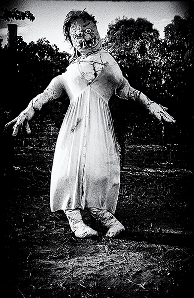 Nightmare-like female appartition dancing in a field