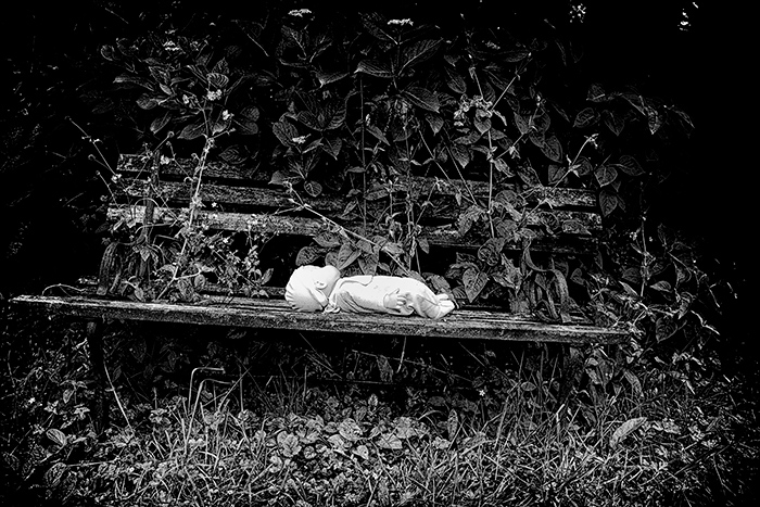 A doll lies abandoned a rickety wooden bench overgrown with weeds