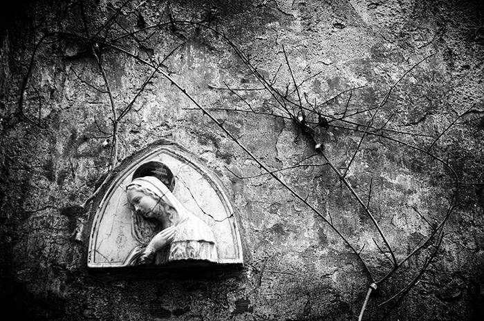 A cracked stone depiction of Virgin Mary affixed to a weathered stone wall with a bare thorny shrub going upward