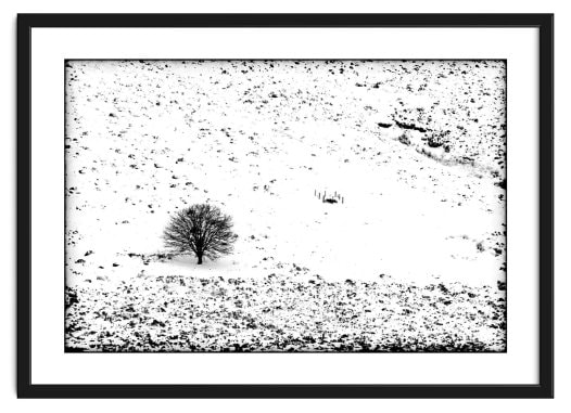 High contrast black and white framed image of a lone tree on a snow covered hillside