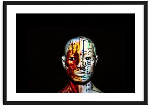 Framed image of a ceramic head with muscles and acupuncture points painted on looking straight ahead against a black background